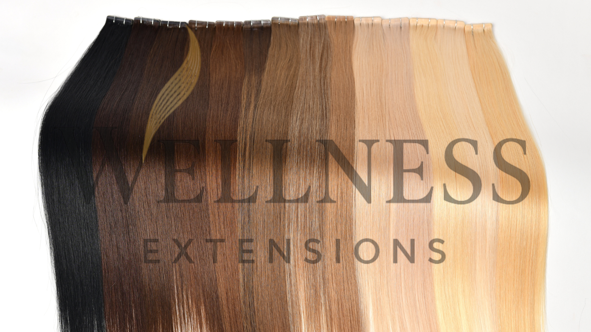 Nuancier Wellness Extensions